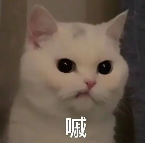  哈哈哈哈哈哈哈哈哈我笑到山无棱江水为竭冬雷震震夏雨雪也不想停