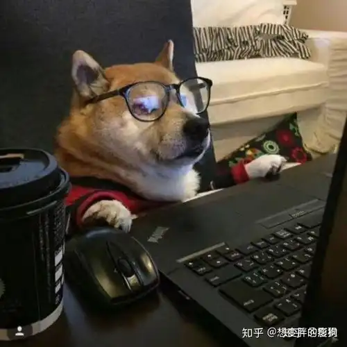 网课虚拟背景图片搞笑逗
