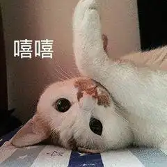  100个沙雕有趣的搞笑表情包
