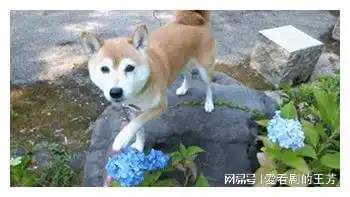 泡妞秘籍图片搞笑恶搞
