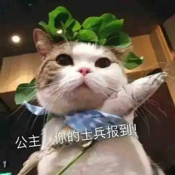  千万不要让爸妈装修婚房,打开灯后崩溃了哈哈哈哈哈哈