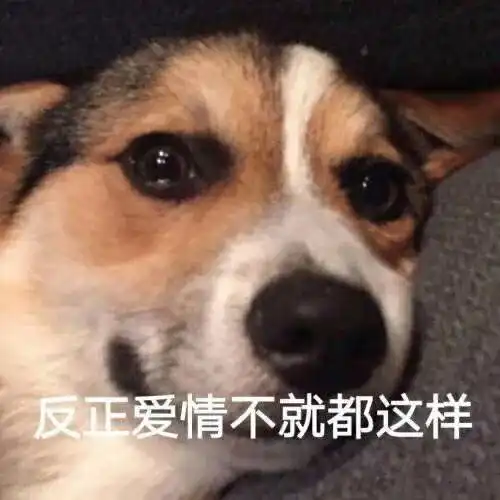  六一儿童节到了,想知道你们给你们的宝贝准备了什么礼物呢