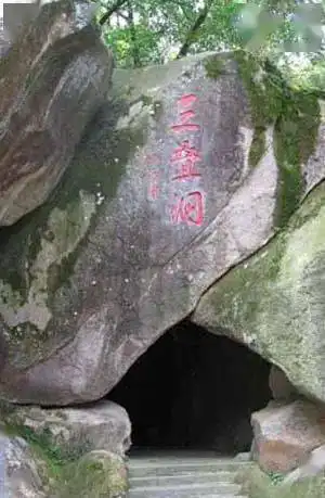  七色花海丹樱生态园特色农家野生黑猪肉宴采摘草莓潮汕历史博览中心礐石风景区一天游