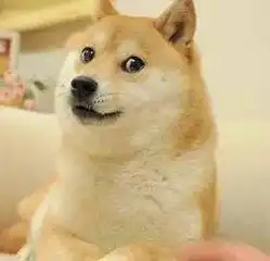搞笑图片集 微信狗狗