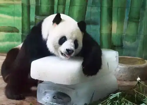  入伏之后,还要热多久才能凉快初伏中伏末伏哪个更热