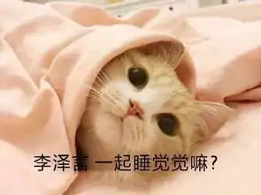 恋与制作人表情包  恋与制作人表情包