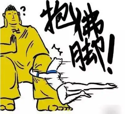  期末教你高效抱佛脚