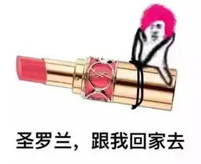  皮皮猪变身记