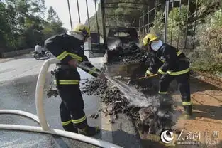  广西一小货车行驶中自燃近五千只活鸭变烤鸭