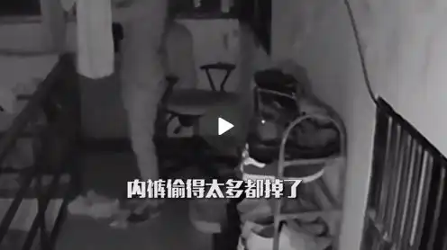  沪上两男子在马路上淡定遛羊真相太爆笑