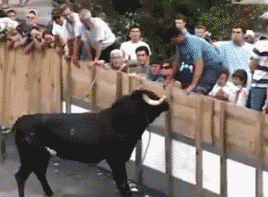 gif搞笑段子如果不提前吃药,还是不要把妹子放出来了  gif搞笑段子如果不提前吃药,还是不要把妹子放出来了