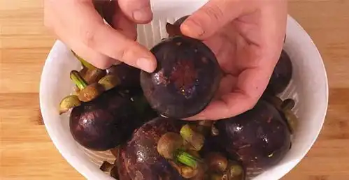  原来山竹的壳上有个小机关,一看就知好坏,很多人却不知道