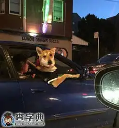  美女带你一程撒