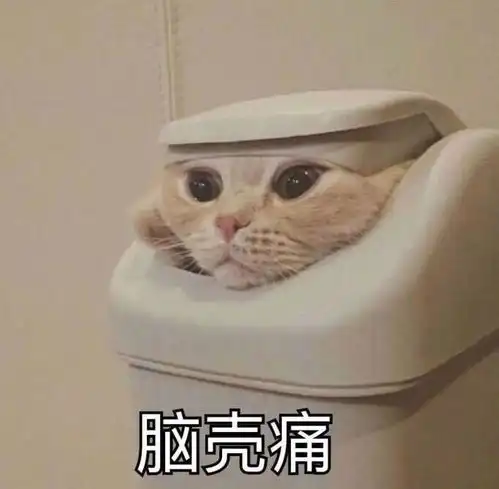  那些和老师们相爱相杀的日子