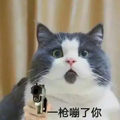 对她来说,用她小小的身躯来对付重量级美女是一种耻辱 对她来说,用她小小的身躯来对付重量级美女是一种耻辱