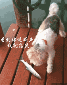 求一部动漫,男的可以把那啥变成剑,但会变成女的,如果剑被折断了, 求一部动漫,男的可以把那啥变成剑,但会变成女的,如果剑被折断了,