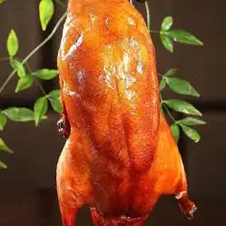  枣木烤鸭新阳店