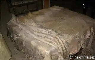  生猪皮