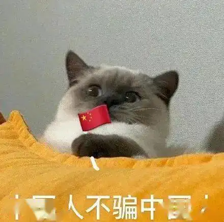  表情包我慕了,睡觉睡觉