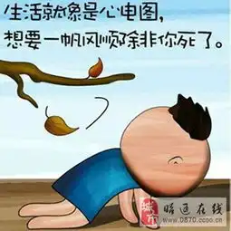  精选图片帖昭通论坛第337页