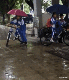 没有买卖,就没有伤害让我以后怎么正视巧克力哈哈哈 没有买卖,就没有伤害让我以后怎么正视巧克力哈哈哈