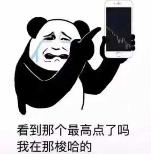  沙雕表情包绿我可以绿我基金不行