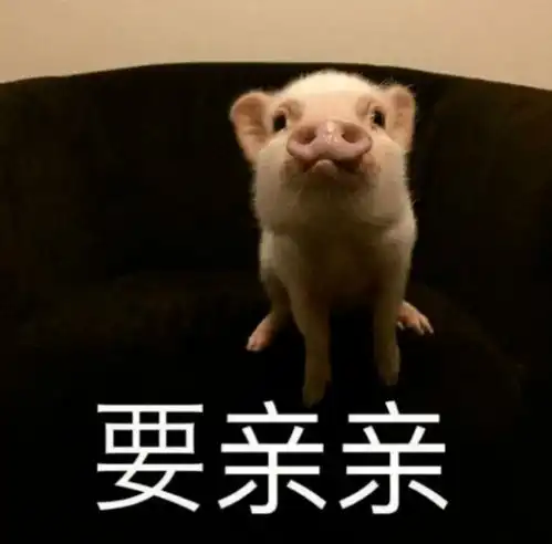  公开恋情被嘲4年后,关晓彤终于放手了