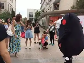  熊本林大表情包之旅附赠一夜暴富秘籍