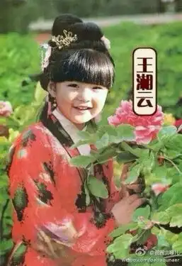 关于ps搞笑图片红楼梦