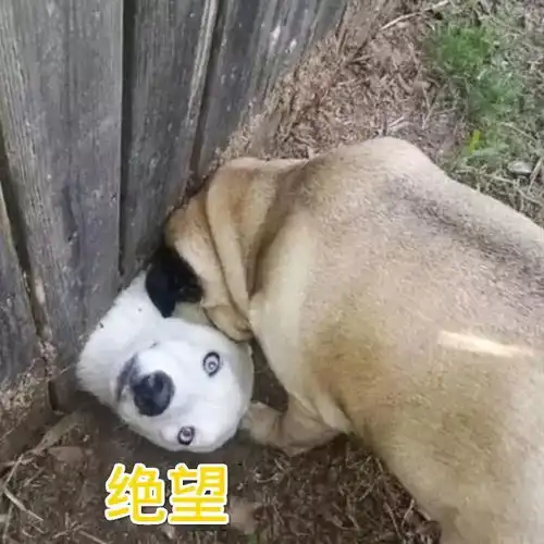  紧急下周开始请潍坊人提前一个小时上班竟因