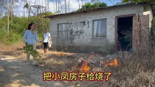 小梅一把火把小凤房子给烧了,搞得我措手不及,还好没事  小梅一把火把小凤房子给烧了,搞得我措手不及,还好没事