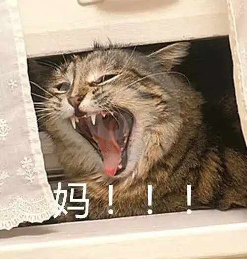  家有一老如有一宝