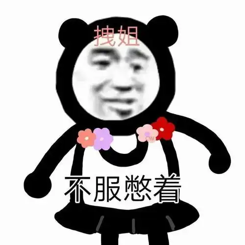  熊猫头表情包i来不及解释了我的孩需要个爸爸