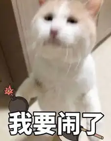  summer4567大大的微博微博