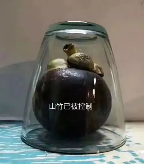  刚刚,台风山竹登陆连江苏也受影响,今明有大雨