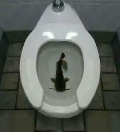  服务员上菜,上了个空盘子这是啥.