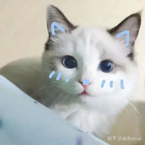 高考生物如何考满分 高考生物如何考满分