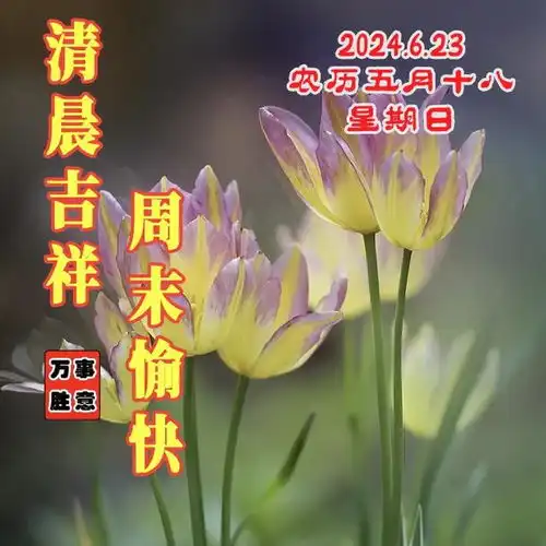  2024年6月23日农历五月十八祝福图片星期日最新问候美图周末愉快