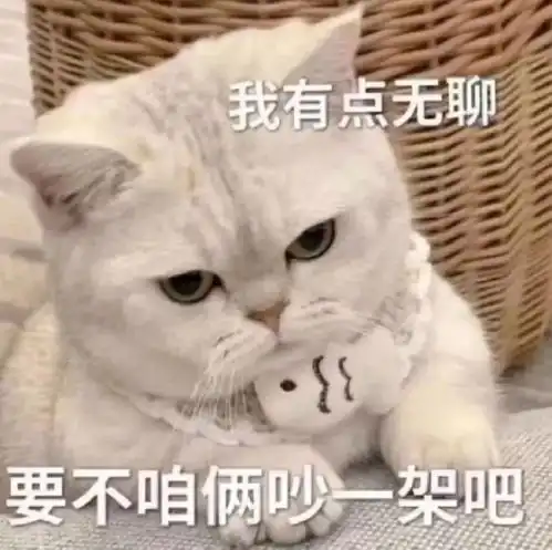  你这是什么话我不喜欢丨第842期喵表情包