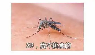  房间里那么多人,为啥蚊子不叮我