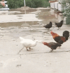  搞笑gif段子小妹妹,你爸爸是我见过最帅的小魔仙,非常迷人