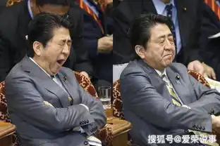  世界各国领导人犯困照安倍晋三太搞笑,最后一位实在是夸张
