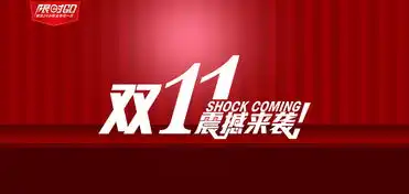  双11风狂采购