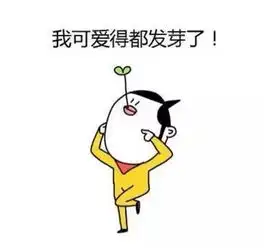  老师,我想请假看各科老师的回复,有才华还搞笑
