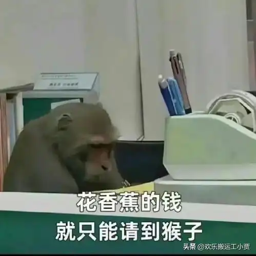 打工人太难了上班连微信头像都要管  打工人太难了上班连微信头像都要管