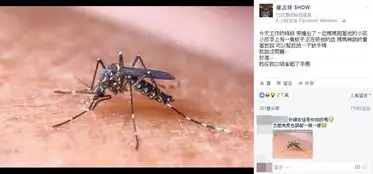  妇人请他拍蚊子罗志祥没问题下秒网友傻眼