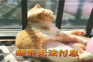  幽默笑话儿子很着急,把大黄狗的耳朵都咬的没毛了