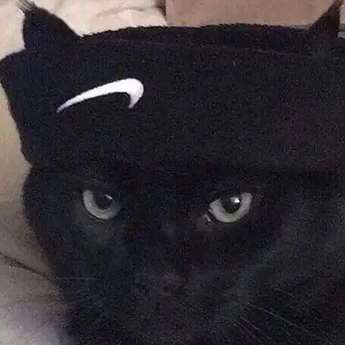 这是什么绝世沙雕头像我全都要 这是什么绝世沙雕头像我全都要