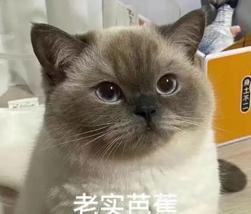  笑话十条老婆最近考驾照,家里没车给她练