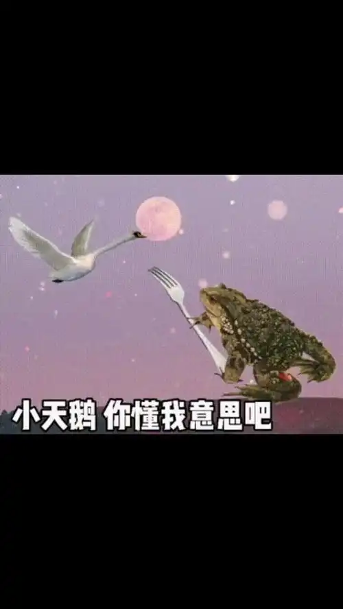  撩妹表情包搞笑表情包艾特出你想艾特的人